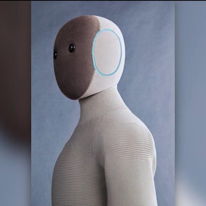 Your Next Roommate? Humanoid robot created to help around the house